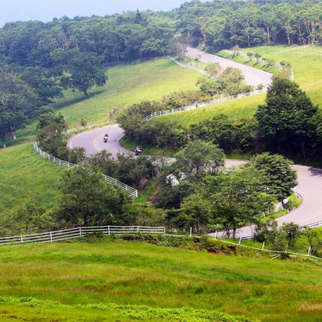 霧降高原道路