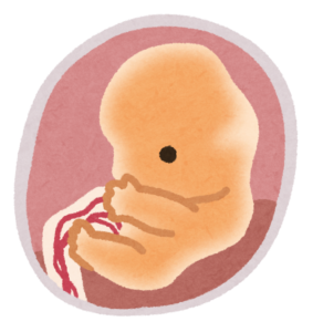 胎児のイメージイラスト