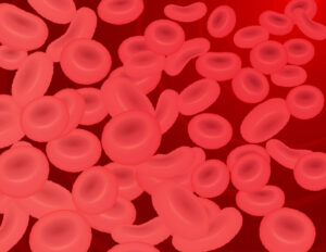 赤血球のイメージ画像