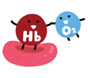 ヘモグロビンと酸素のイラスト