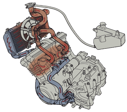 Water-cooled engine
