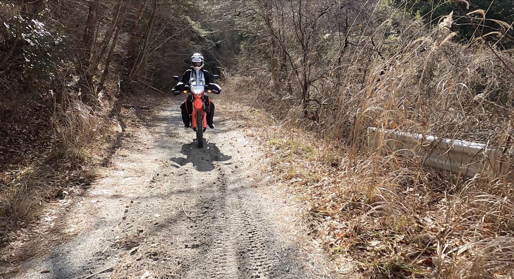 林道ツーリングのためにオフ車を買う 納車後2回目の乗車で目的達成 ホンダcrf250l S 購入レポ7 Forr