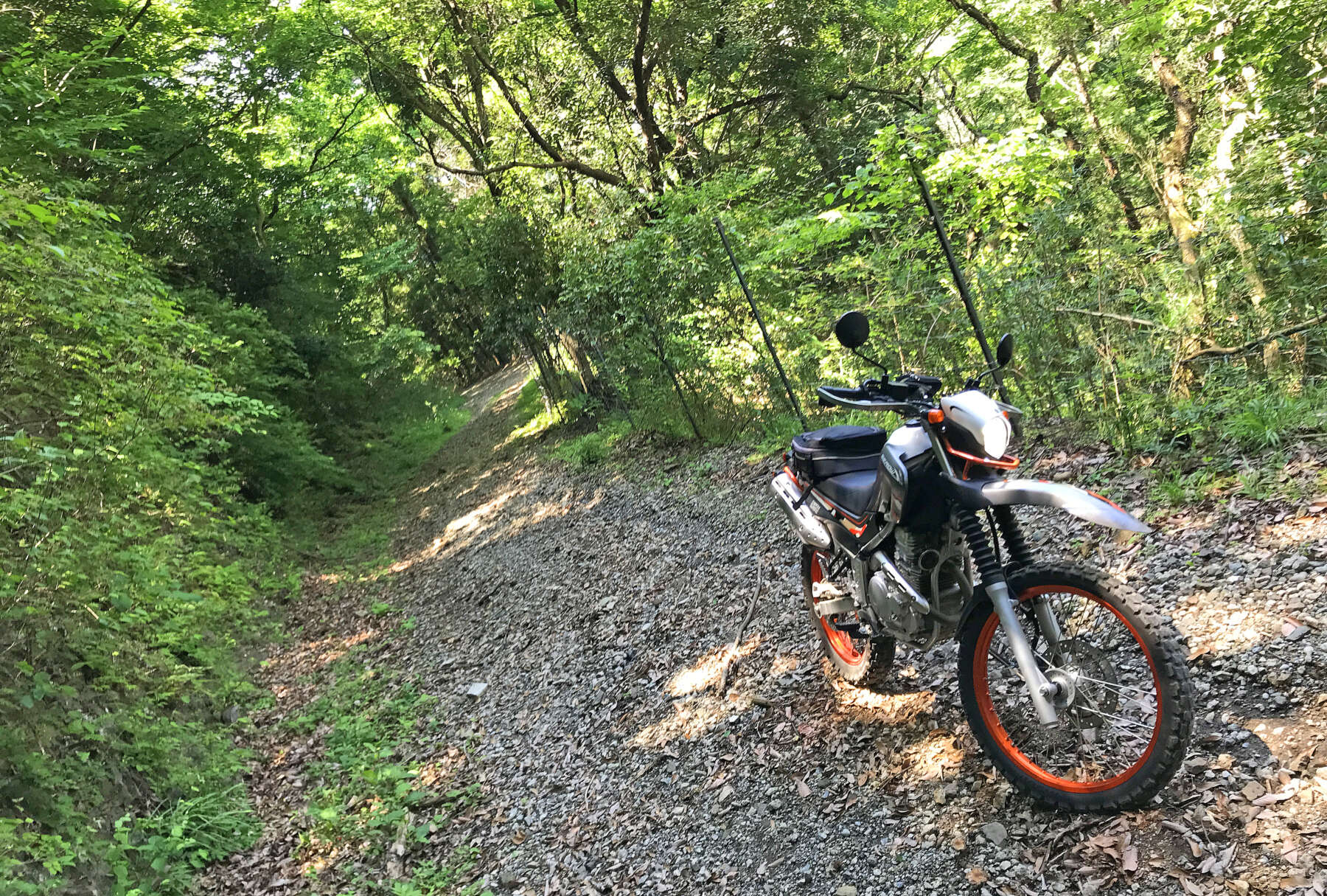 祝！新東名延伸！ 神奈川県秦野市の林道をゆく【3. 林道 戸川2号線+