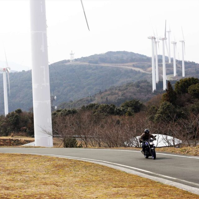 佐田岬