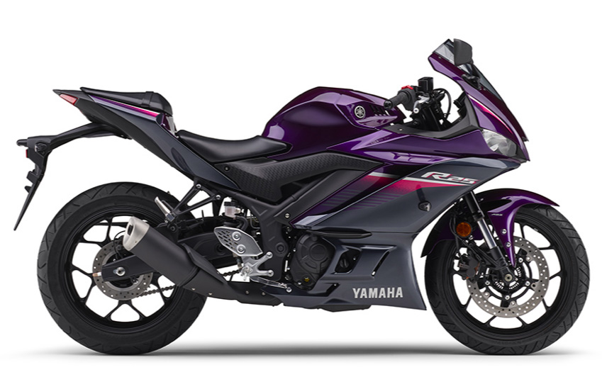 YZF-R25紫