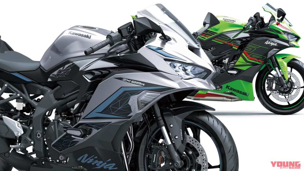 ZETAレバー ZX25R NINJA650 その他あり | www.innoveering.net