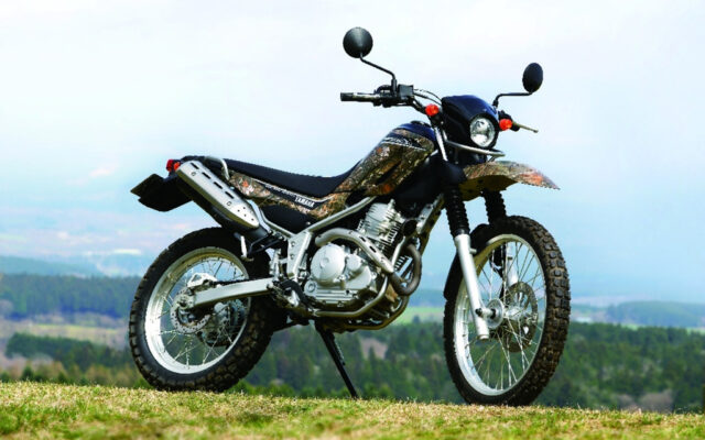 2010セロー250カモ