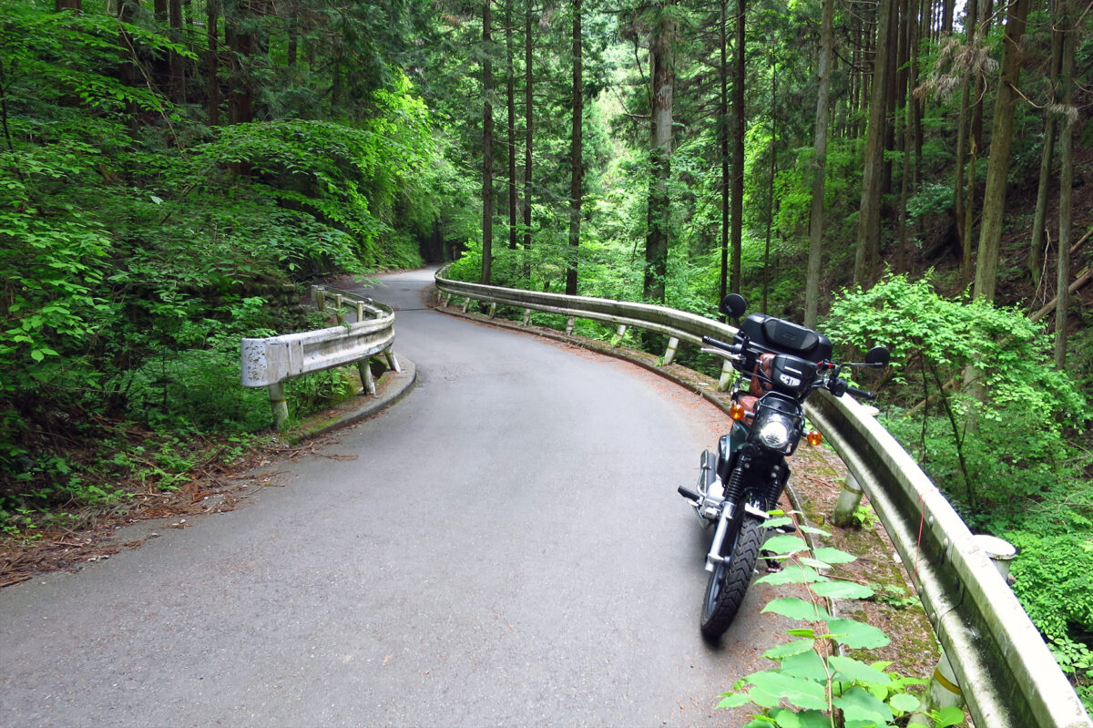 陣馬街道