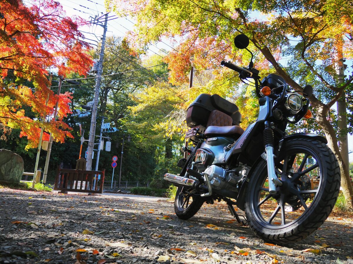 紅葉と新そばを求めて関東屈指の古刹「深大寺」へバイク散歩してきた