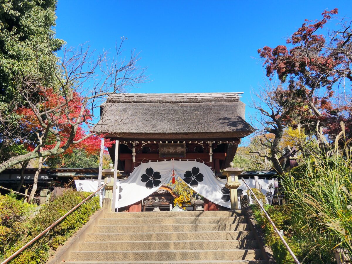 深大寺