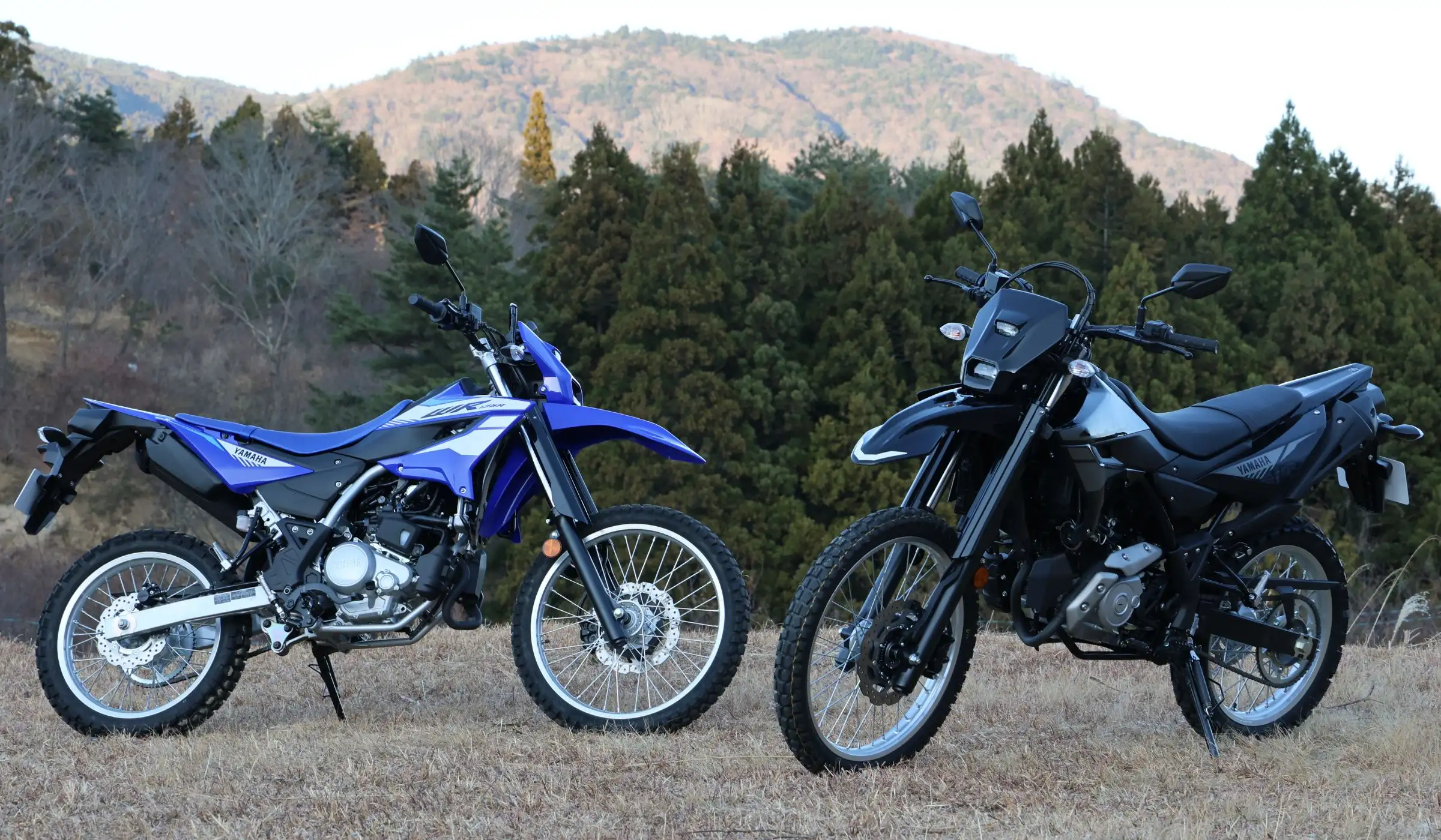 「WR125R」のカラーリングはディープパープリッシュブルーソリッドE（ブルー）とヤマハブラック（ブラック）の２色展開。