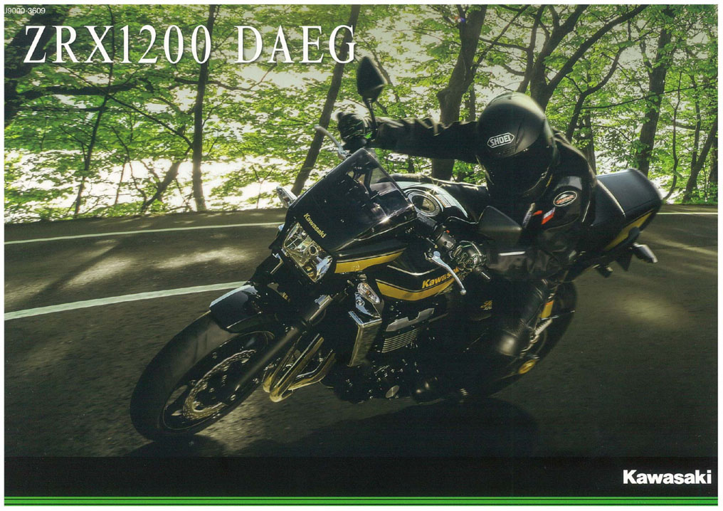 ZRX1200DAEG_2016