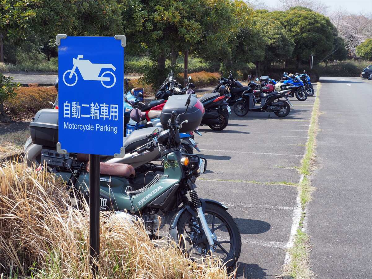 国営昭和記念公園