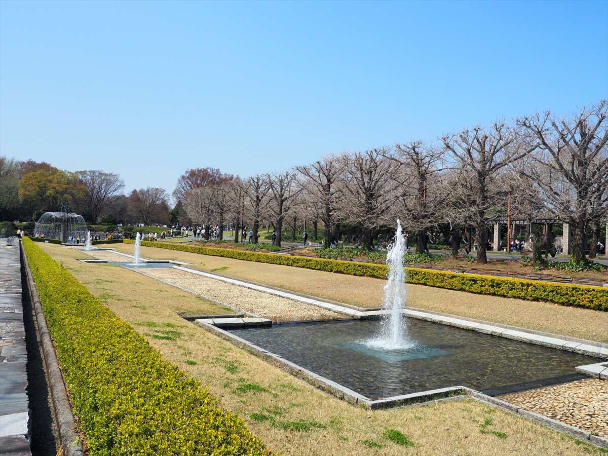 国営昭和記念公園