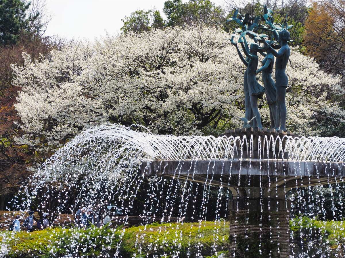 国営昭和記念公園