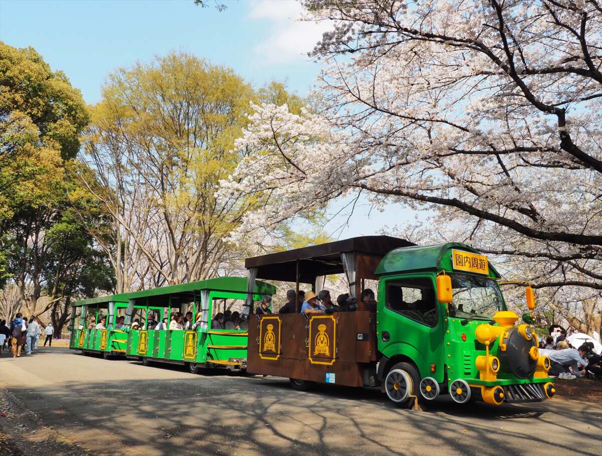 国営昭和記念公園