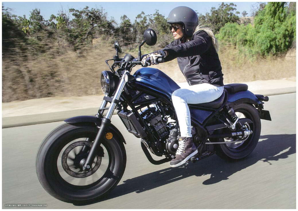 2020年レブルカタログより