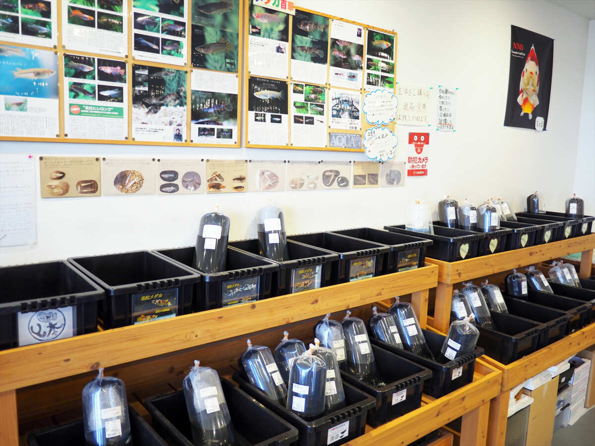 道の駅かぞわたらせ