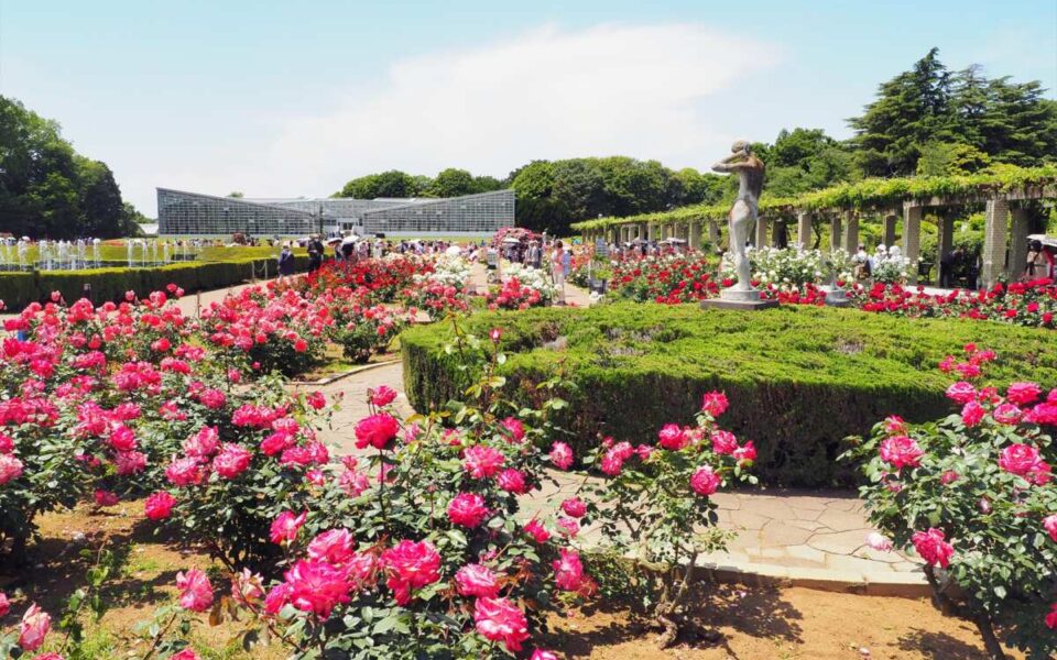 神代植物公園