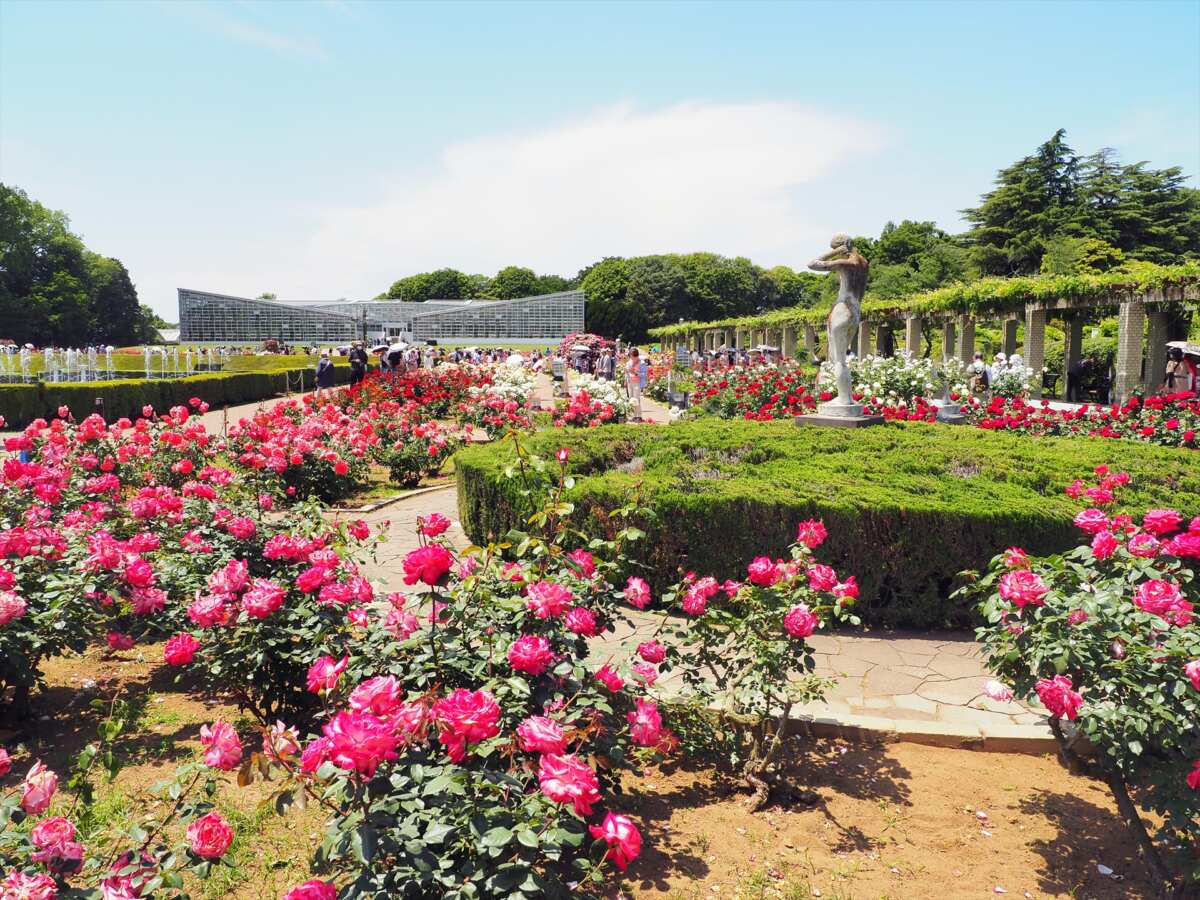 神代植物公園