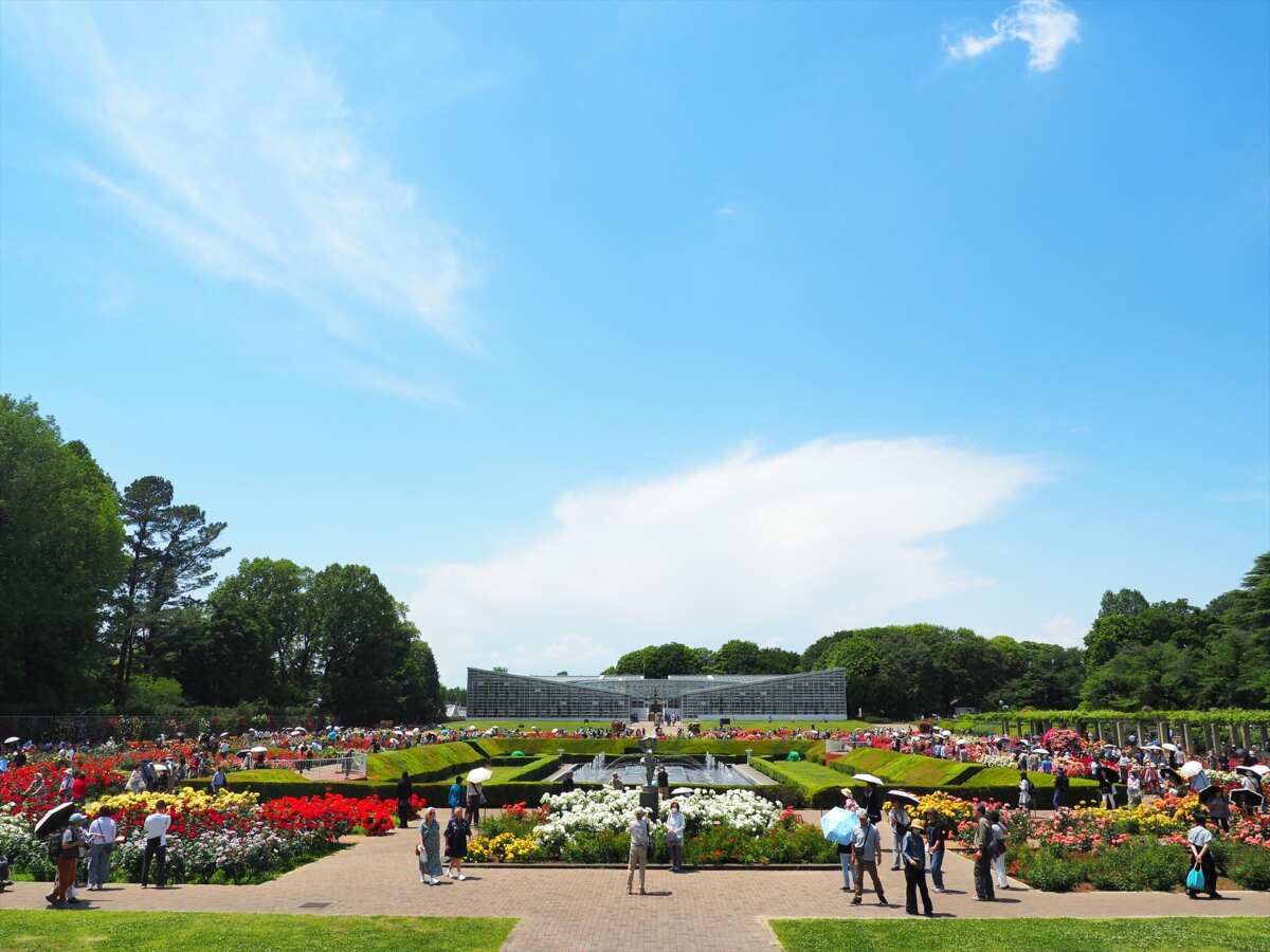 神代植物公園