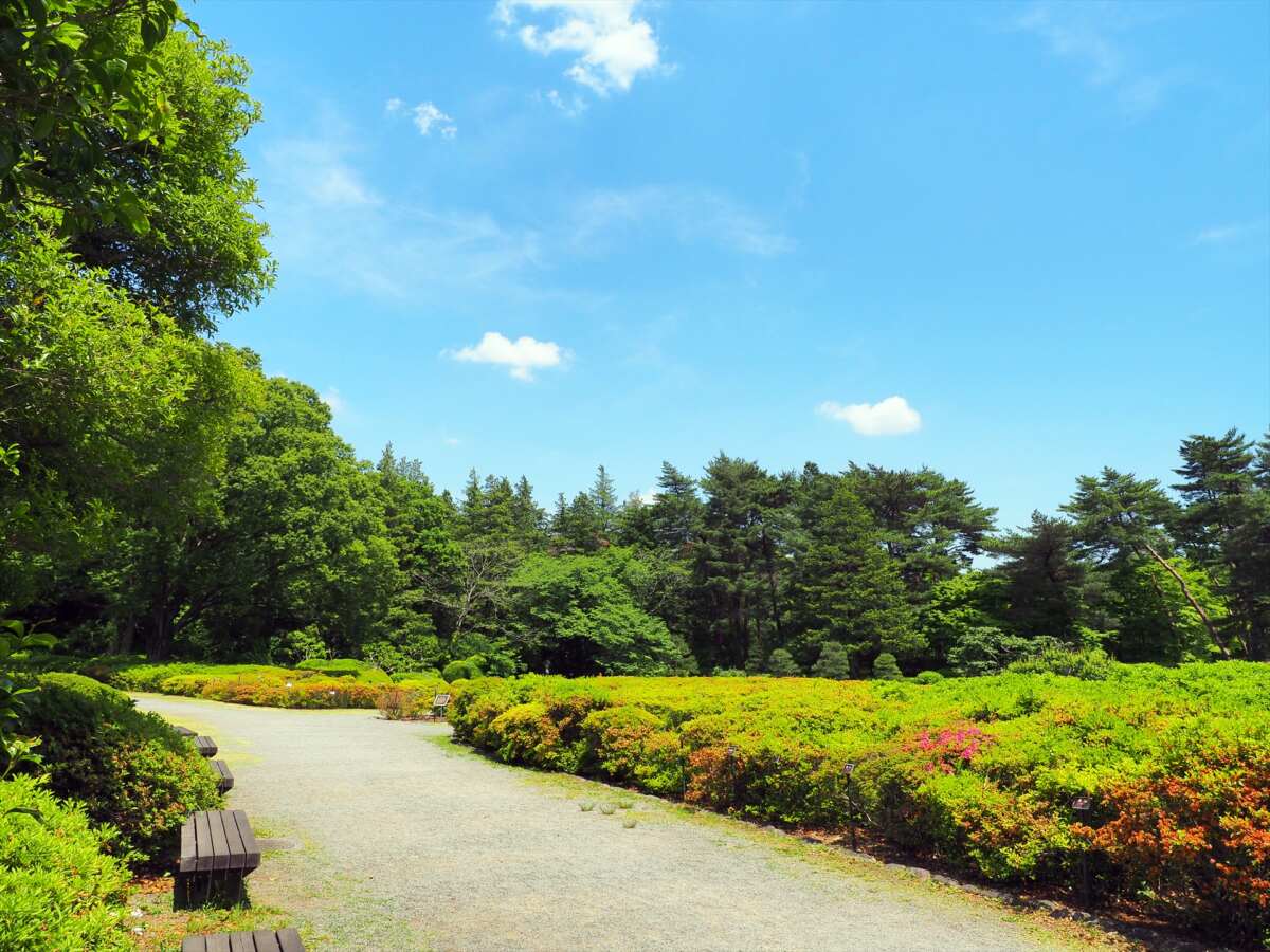 神代植物公園