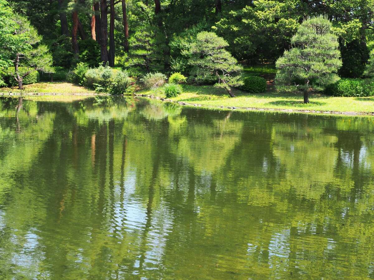 神代植物公園