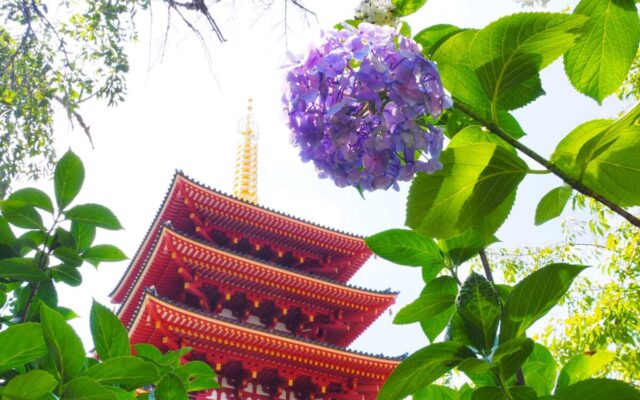 高幡不動尊
