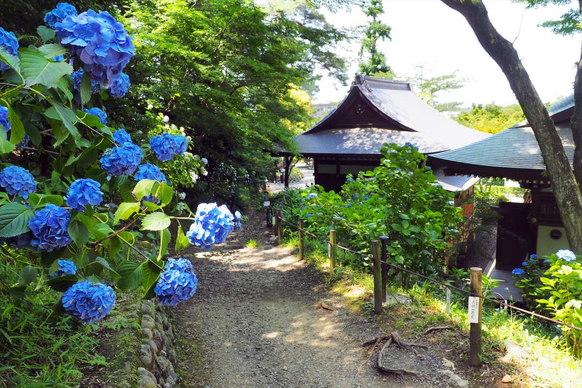 高幡不動尊