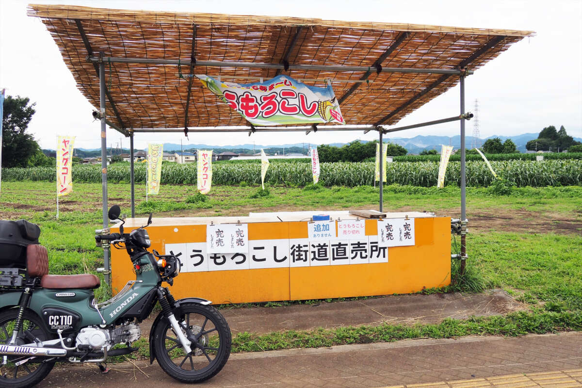 とうもろこし街道
