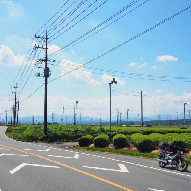 茶どころ通り