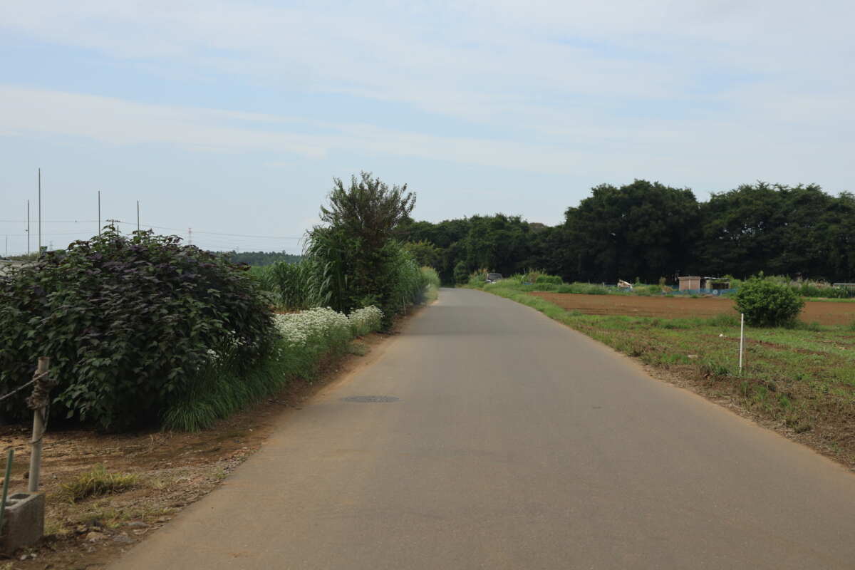 こんな畑の中の道も“生活道路における自動車の法定速度が60km/hから30km/hに引き下げ”の対象となるのだろうか？