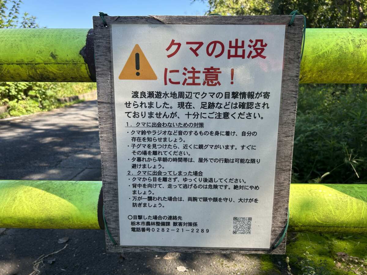 クマの出没に注意! 渡良瀬遊水地