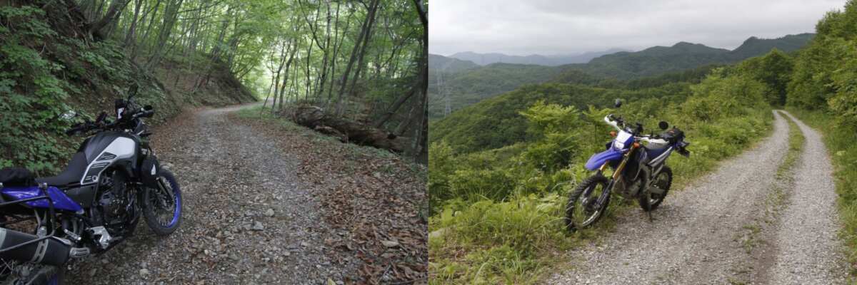 幅はたいてい1車線で、左右にある轍のうち、左側を通行するのが基本だ。