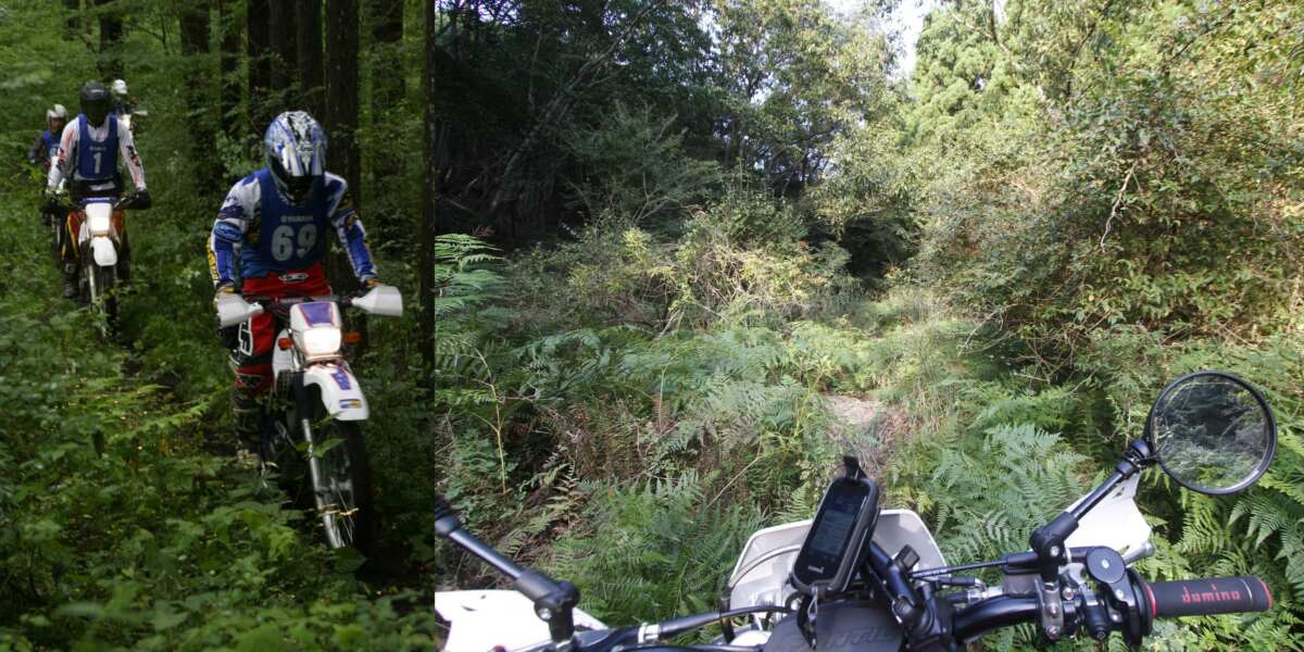 わざわざこんなところをバイクで行くの!? と思うだろうが、やってみるとアドベンチャー感が強く面白い。