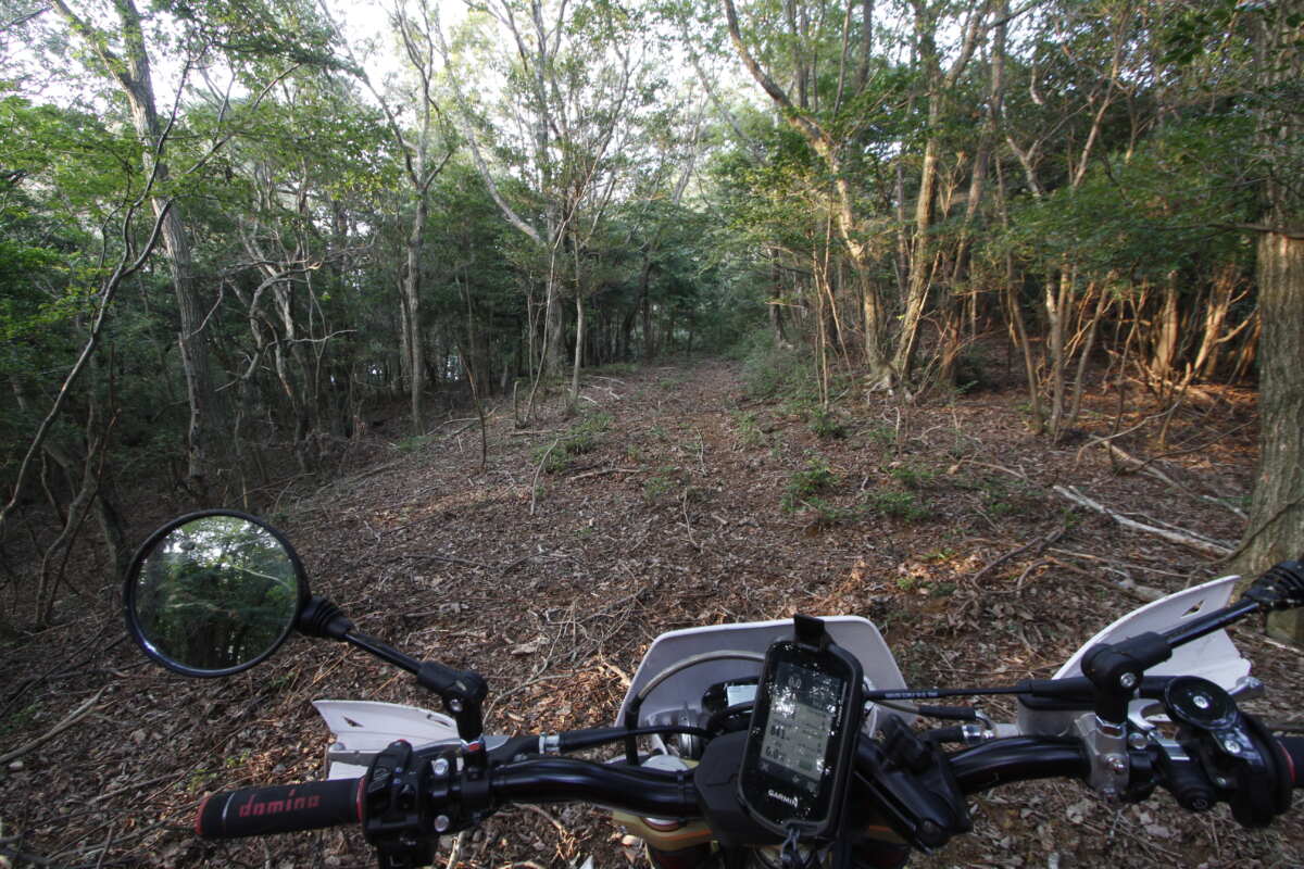 木を伐採してならし、重機が通れるようにしただけの作業道は勾配もまちまち。転圧されていないので、基本的にフカフカでぬかるみも発生しやすい。