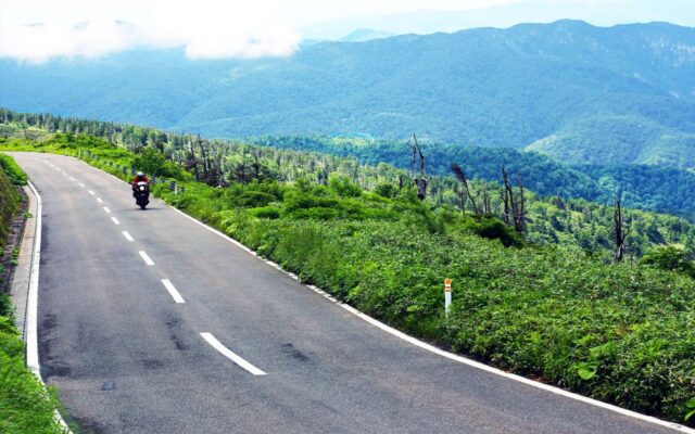 八幡平樹海ライン
