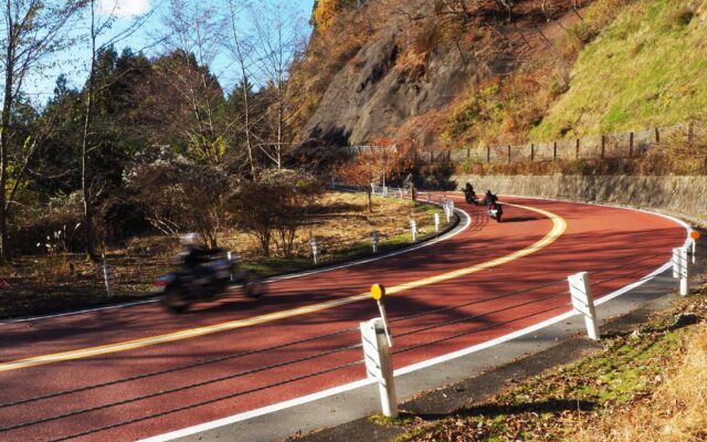 奥多摩周遊道路