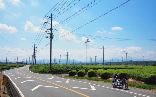 茶どころ通り