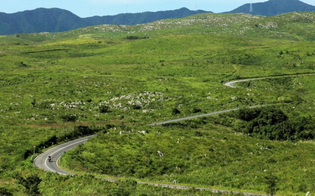 秋吉台カルストロード